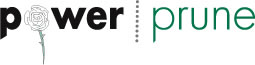 Power Prune